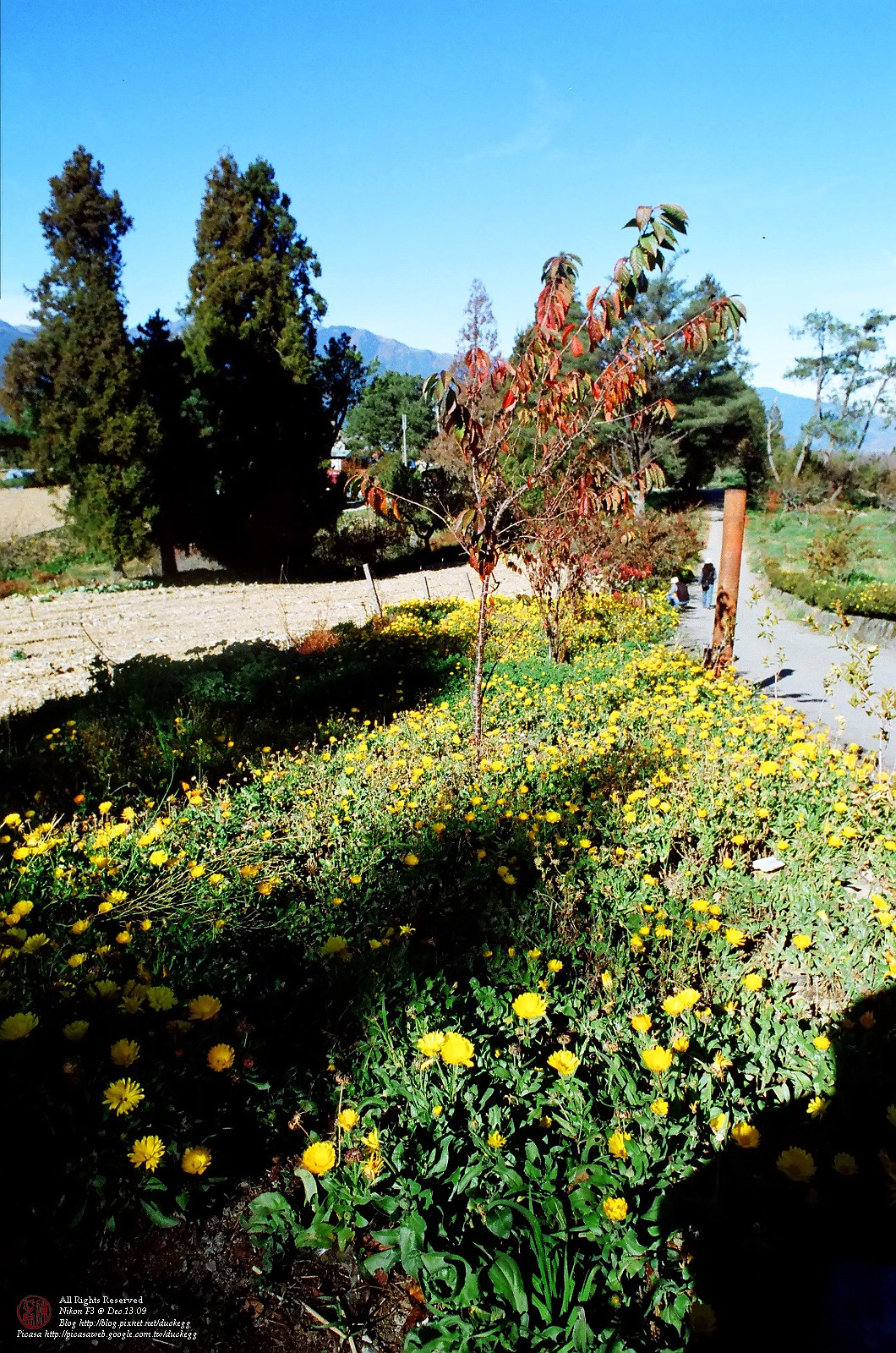23820038.jpg